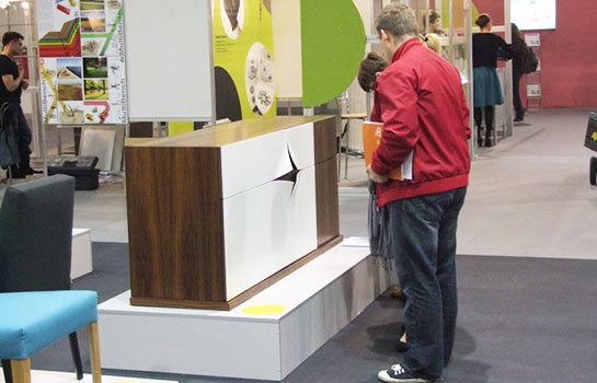 Arena designe wowwood.pl